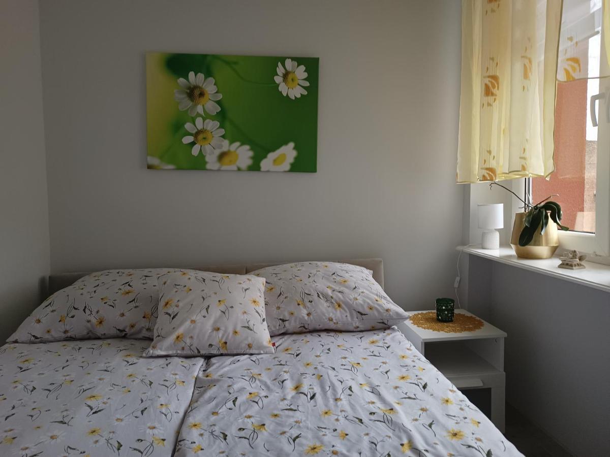 טרנובסקי גאורי Szmaragdowy Apartament Przy Ulicy Opolskiej מראה חיצוני תמונה