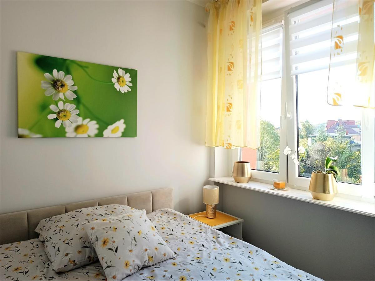 טרנובסקי גאורי Szmaragdowy Apartament Przy Ulicy Opolskiej מראה חיצוני תמונה