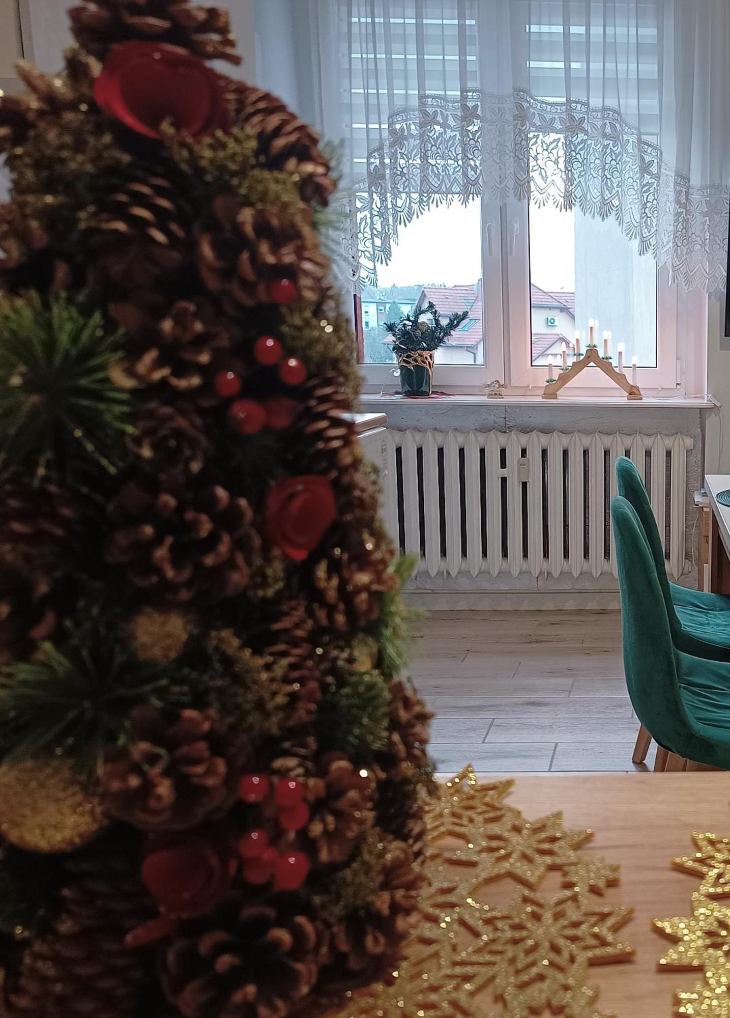 טרנובסקי גאורי Szmaragdowy Apartament Przy Ulicy Opolskiej מראה חיצוני תמונה